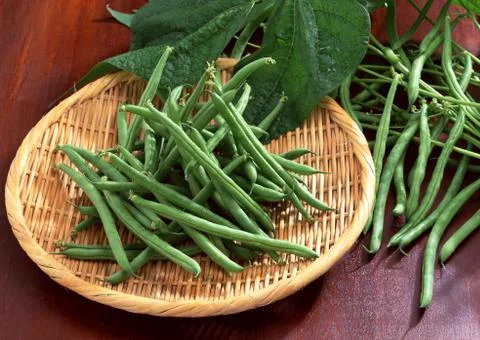String Bean Stock Photos