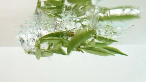 String bean thrown into clear water. Stock Footage 116525352