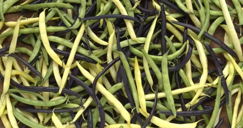 String beans of different cultivar texture background. Stock Footage 283457033