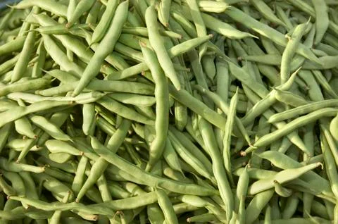 String beans Stock Photos