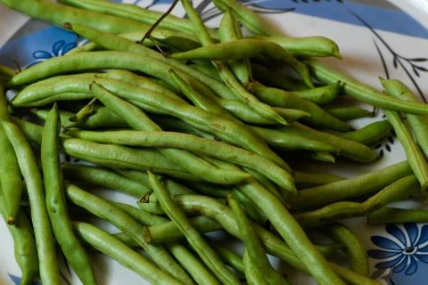 String beans on plate close on isolated red background Stock Photos