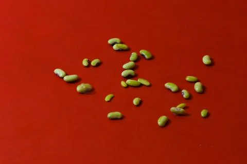 String beans seeds closeup on isolated red background Stock Photos
