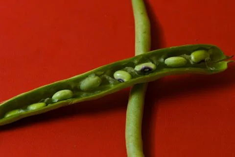 String beans seeds closeup on isolated red background Stock Photos