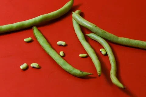 String beans seeds closeup on isolated red background Stock Photos