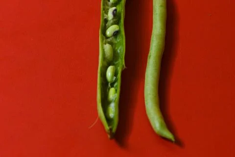String beans seeds closeup on isolated red background Stock Photos