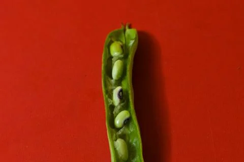 String beans seeds closeup on isolated red background Foto stock