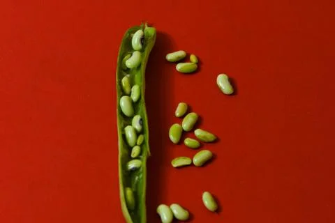String beans seeds closeup on isolated red background Stock Photos