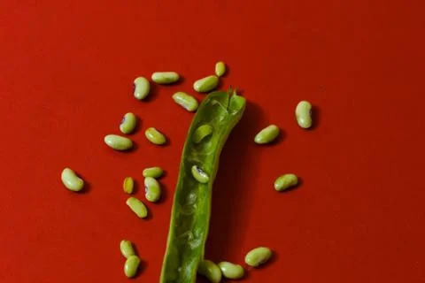 String beans seeds closeup on isolated red background Stock Photos