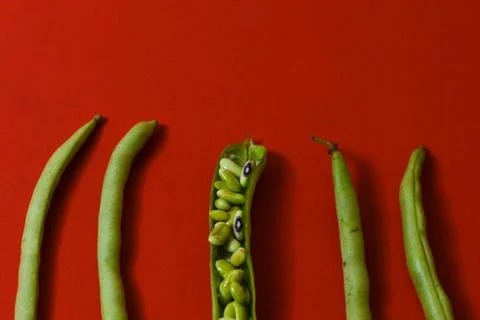String beans seeds closeup on isolated red background Stock Photos