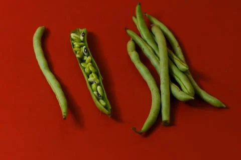 String beans seeds closeup on isolated red background Stock Photos