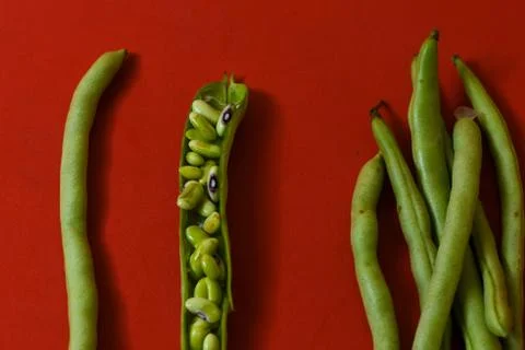 String beans seeds closeup on isolated red background Stock Photos