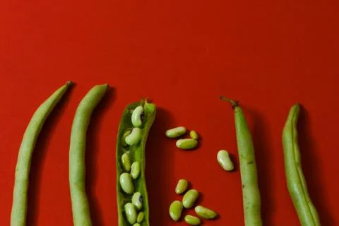 String beans seeds closeup on isolated red background Stock Photos