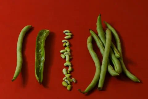 String beans seeds closeup on isolated red background Stock Photos