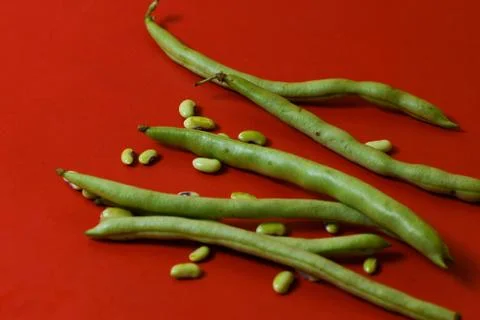 String beans seeds closeup on isolated red background Stock Photos