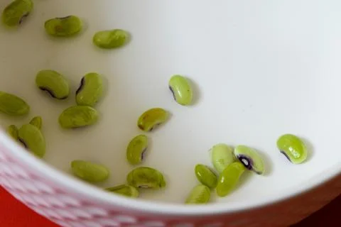 String beans seeds closeup on isolated red background Stock Photos