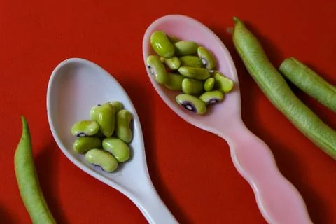 String beans seeds closeup on isolated red background Stock Photos