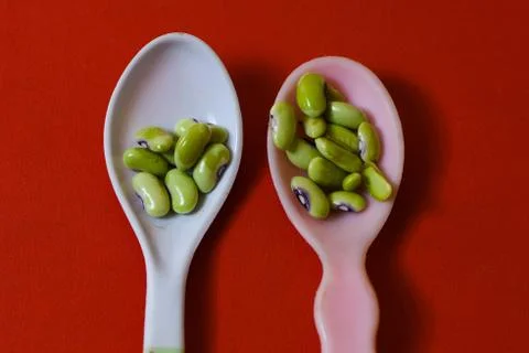 String beans seeds closeup on isolated red background Stock Photos