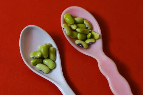 String beans seeds closeup on isolated red background Stock-Fotos