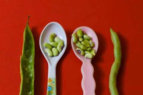 String beans seeds closeup on isolated red background Stock Photos