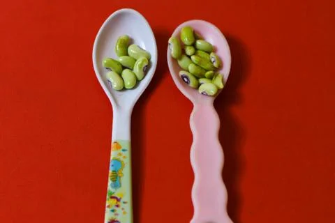 String beans seeds closeup on isolated red background Stock Photos
