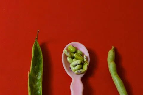 String beans seeds closeup on isolated red background Stock Photos