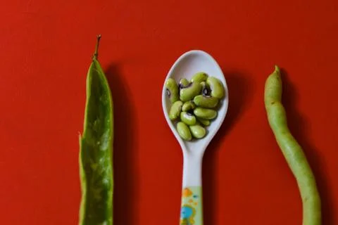 String beans seeds closeup on isolated red background Stock Photos