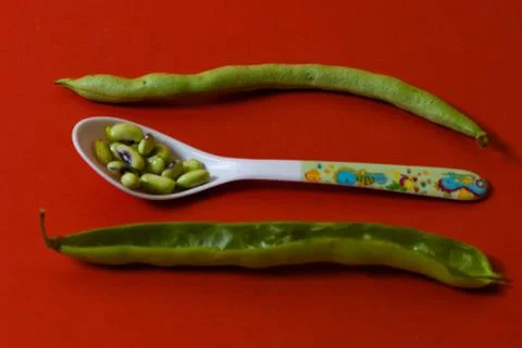 String beans seeds closeup on isolated red background Stock Photos