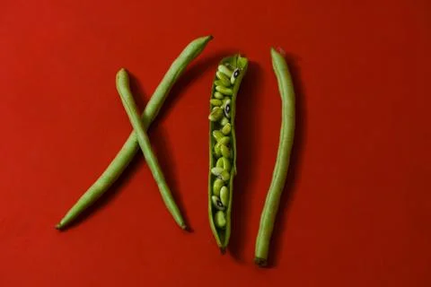 String beans seeds closeup on isolated red background Stock Photos