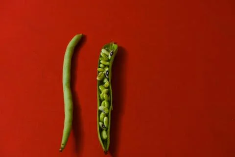 String beans seeds closeup on isolated red background Stock Photos