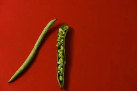 String beans seeds closeup on isolated red background Stock Photos