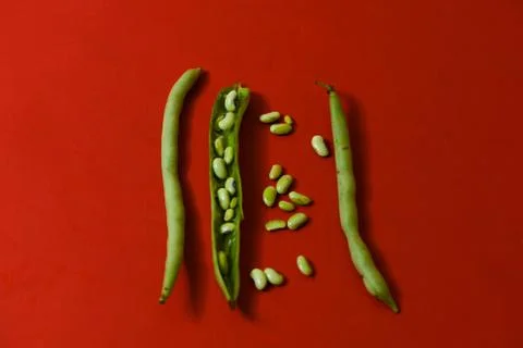 String beans seeds closeup on isolated red background Stock Photos