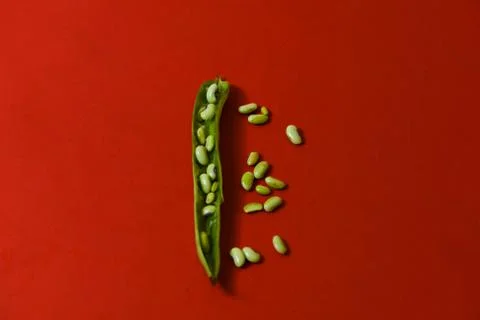 String beans seeds closeup on isolated red background Stock Photos