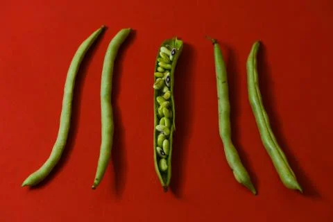 String beans seeds closeup on isolated red background Stock Photos
