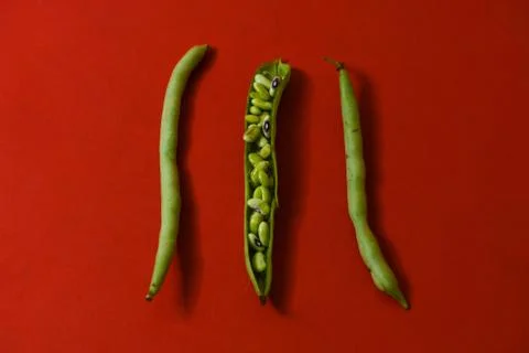 String beans seeds closeup on isolated red background Stock Photos