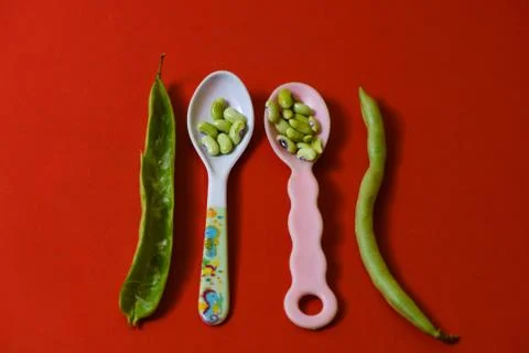 String beans seeds closeup on isolated red background Stock Photos