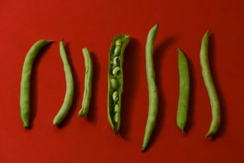 String beans seeds closeup on isolated red background Stock-Fotos