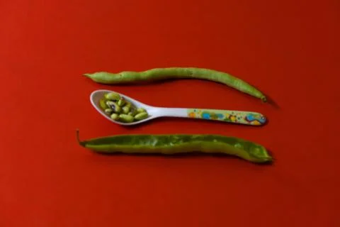 String beans seeds closeup on isolated red background Stock Photos