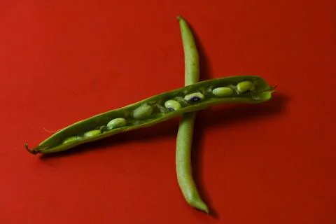 String beans seeds closeup on isolated red background Stock Photos