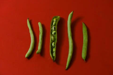 String beans seeds closeup on isolated red background Stock Photos