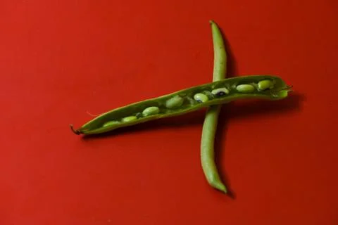 String beans seeds closeup on isolated red background Stock Photos