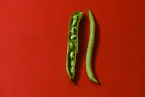 String beans seeds closeup on isolated red background Stock Photos