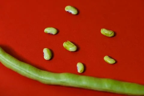String beans seeds closeup on isolated red background Stock Photos