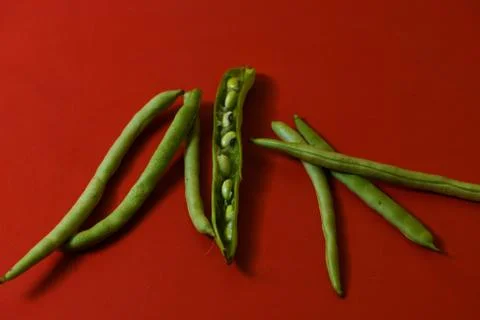 String beans seeds closeup on isolated red background Stock Photos