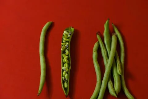 String beans seeds closeup on isolated red background Stock-Fotos