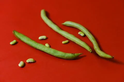 String beans seeds closeup on isolated red background Stock Photos