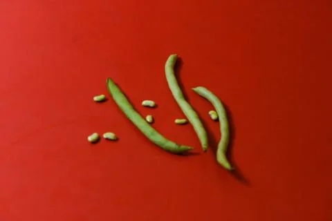 String beans seeds closeup on isolated red background Stock Photos