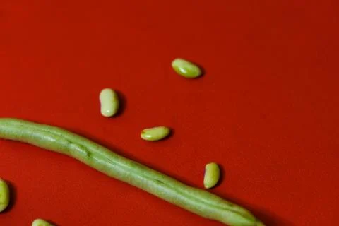 String beans seeds closeup on isolated red background Stock Photos