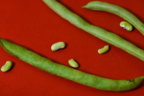 String beans seeds closeup on isolated red background Stock Photos