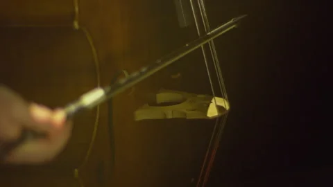 String bow bass contrabass performance by skilled musician in intimate settin Stock Footage 319920562