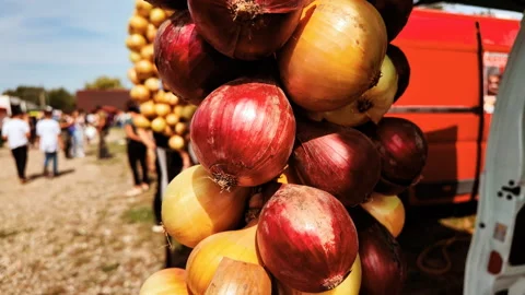 String of braided red and yellow onions Stock Footage 320267377